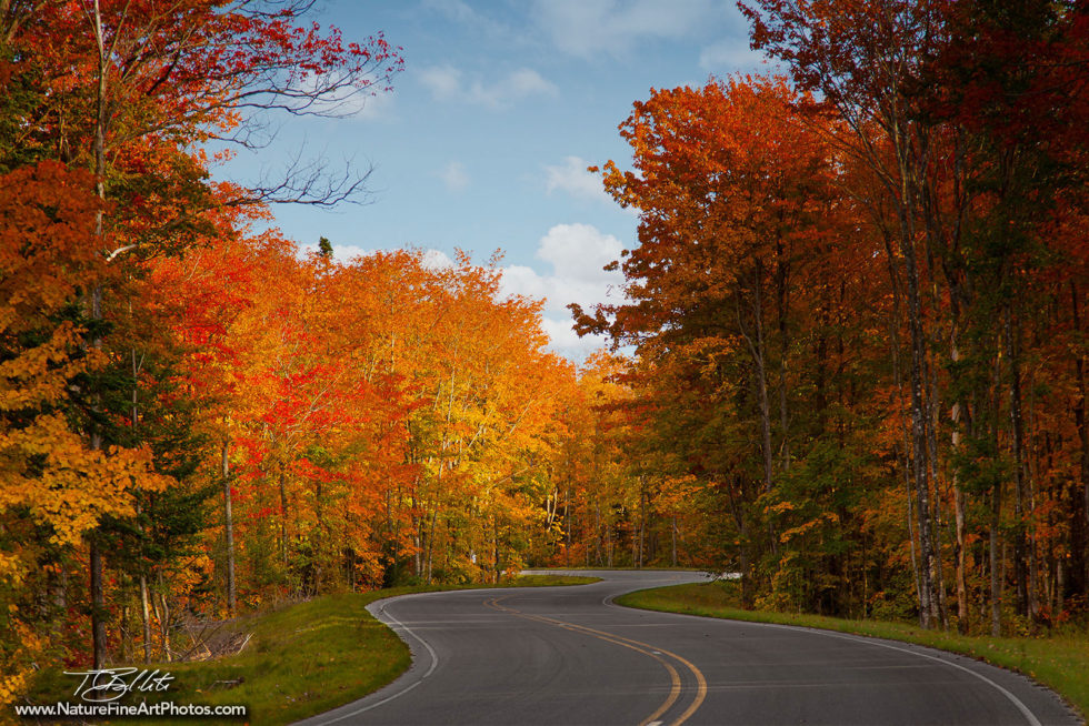 Fall Foliage Photo of Pictured Rocks