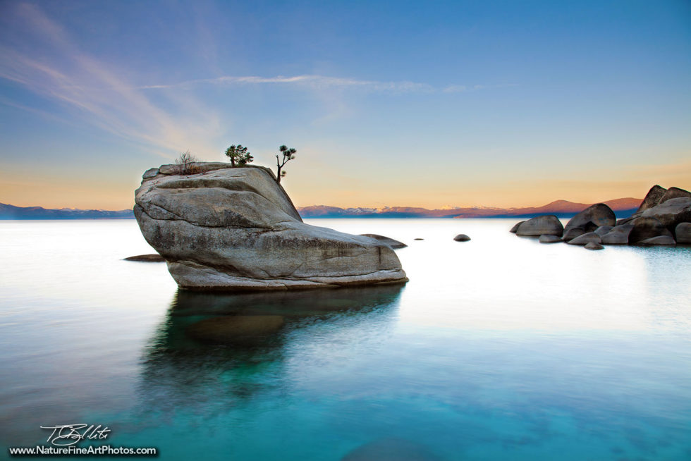 Fine Art Photo of Bonsai Rock