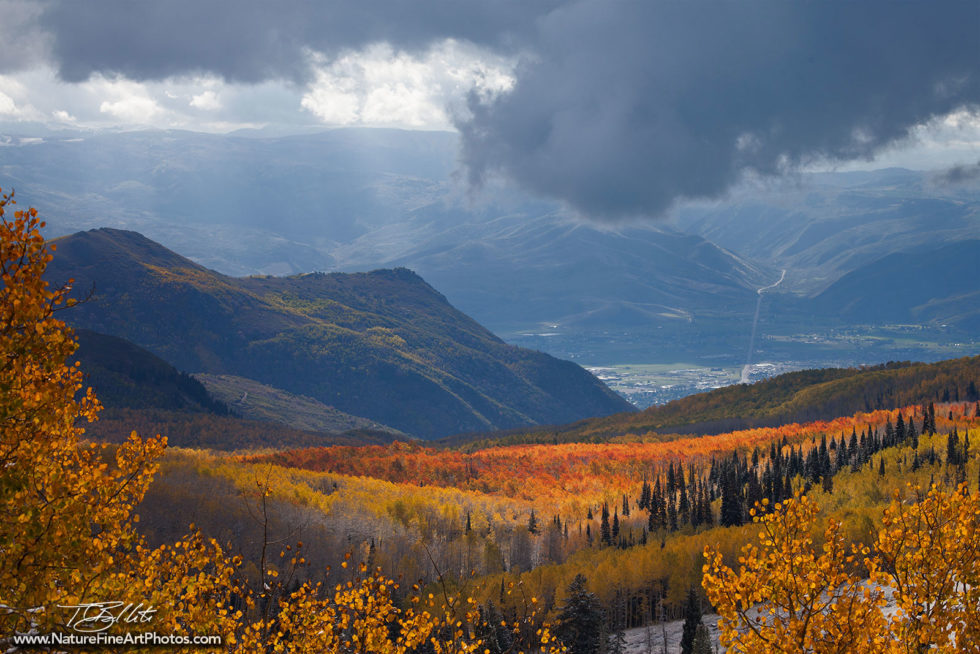 Nature Photo of Utah Fall Foliage