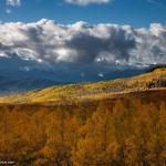 Utah Photo of Aspen Trees