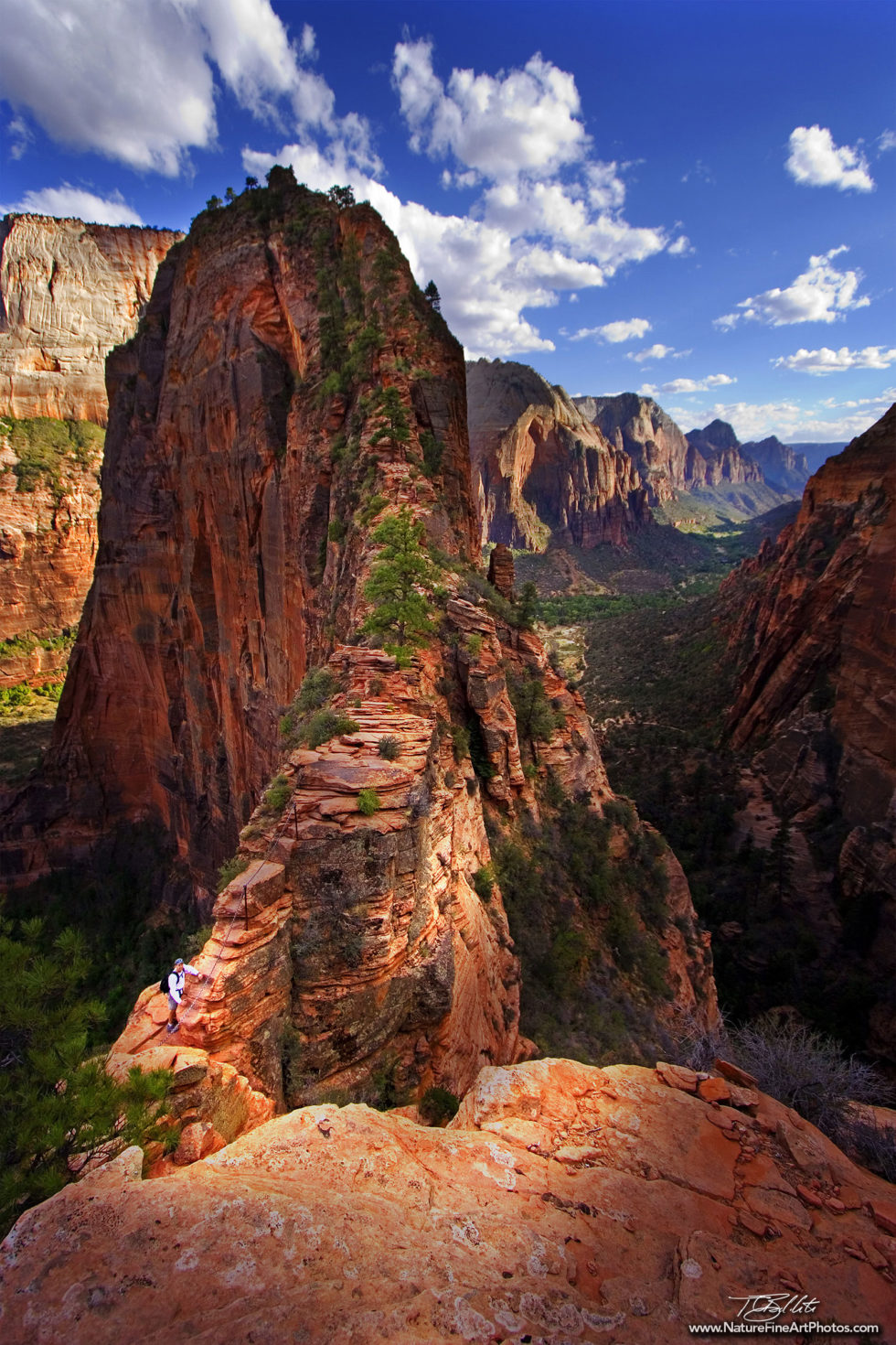 Photo of Angel's Landing