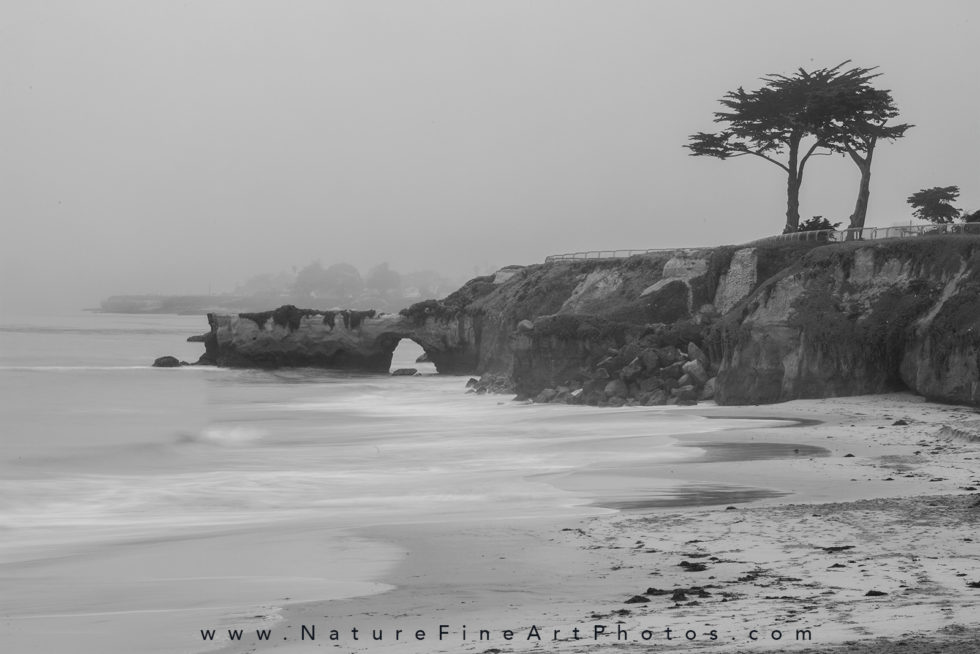 beach in Santa Cruz