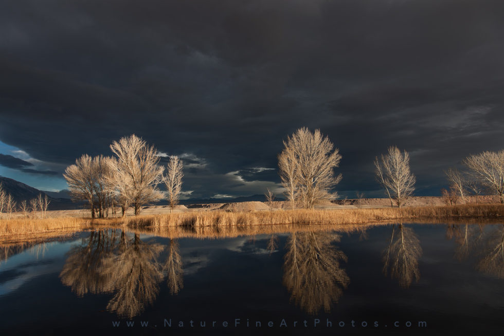 photo of golden trees glow on lake water