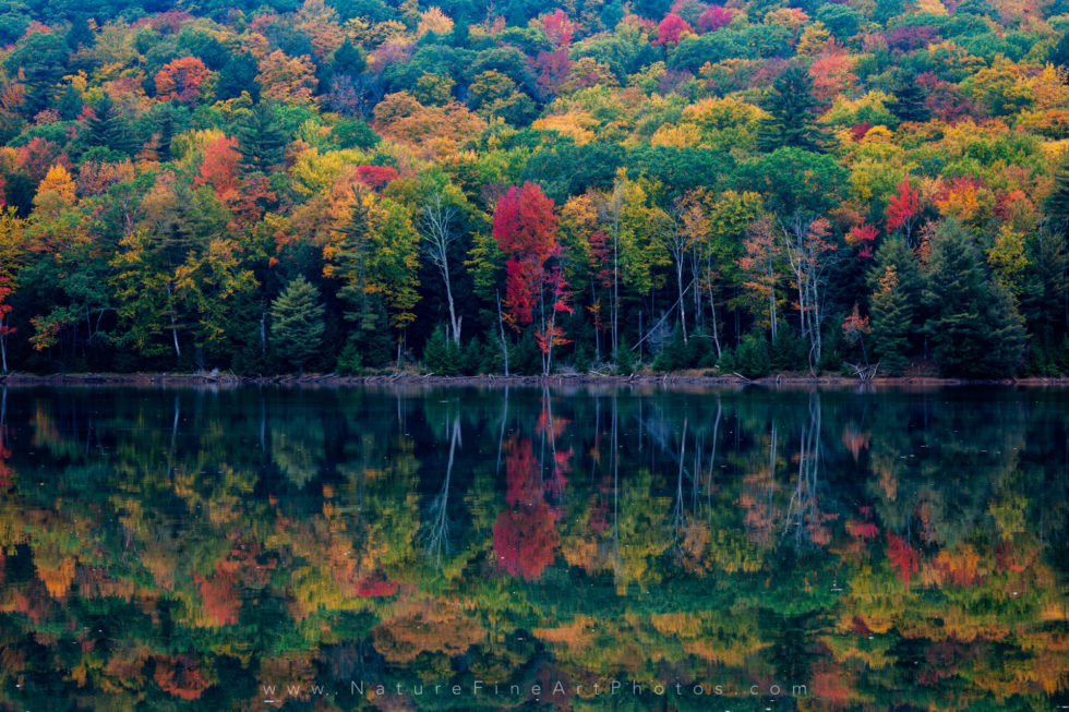 photo of fall colors reflection