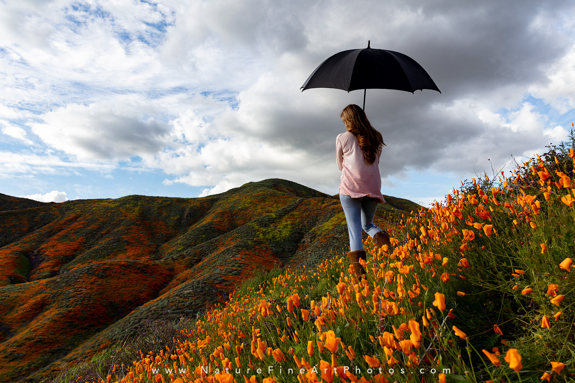 beautiful woman in poppies with umbrella