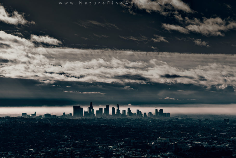 view of downtown LA black and white