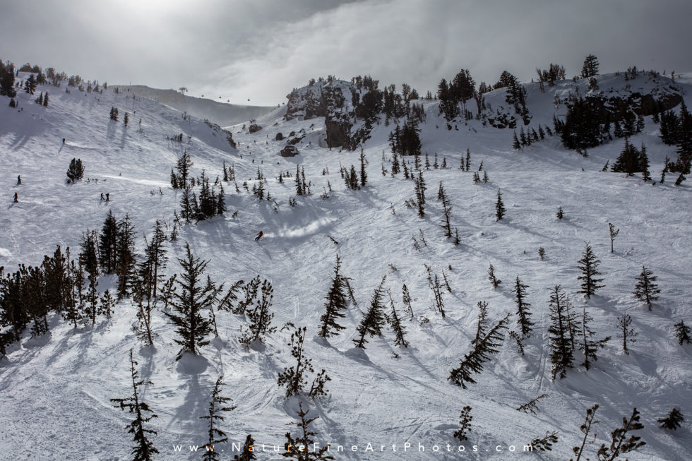 mammoth mountain skier